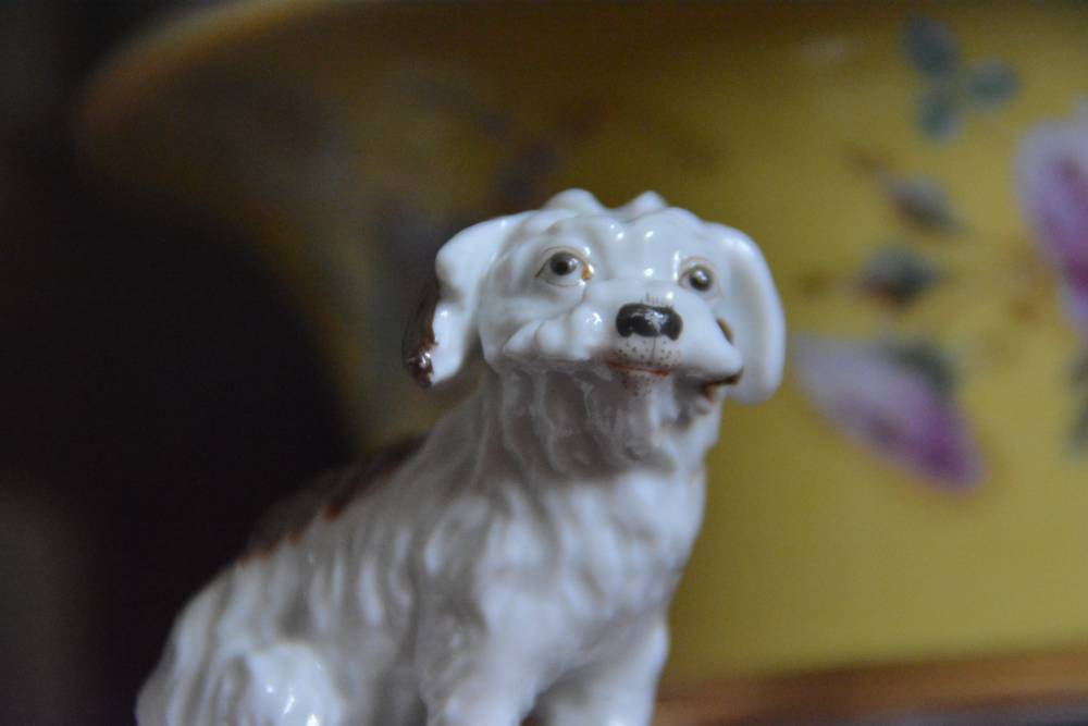 Крематорий для домашних животных Московской области г. Щелково