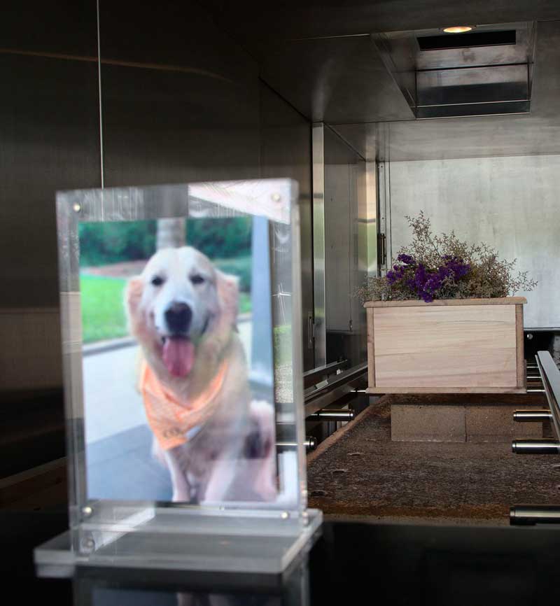 Крематорий для животных (собак, кошек, кроликов, птиц) городе Щелково