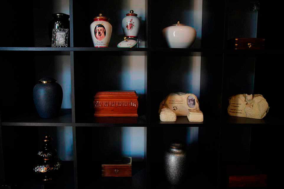 Кремировать собаку, кошку, кролика, птицу, крысу в городе Щелково Московской области