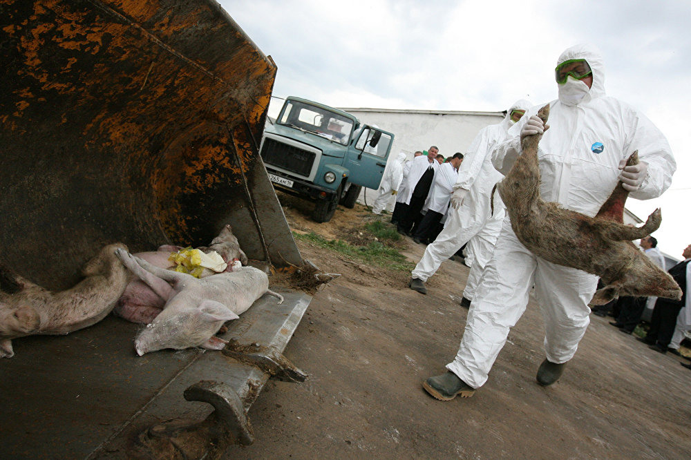 Вывоз трупов умерших животных в городе Щелково
