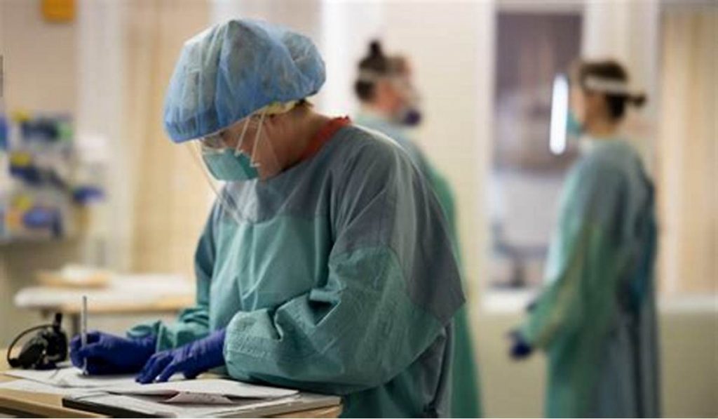 Умерло животное установить причину смерти для суда в Щелково